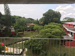 mimosa-park photo thumbnail #14